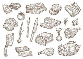 Butcher shop meat and barbecue cooking, sketch vector