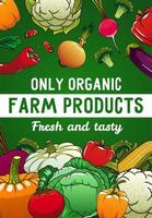 verduras, alimentos orgánicos, verduras y zonas verdes vector