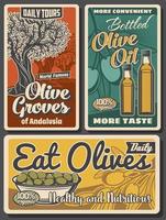 Olive trees with oil bottles and green fruits vector