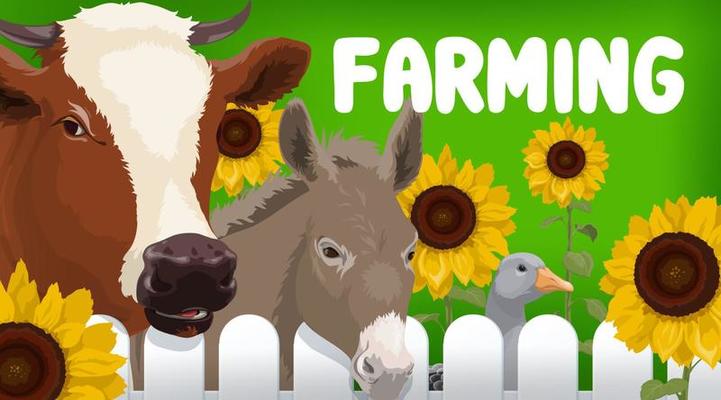 Farm cow, goose and donkey animals