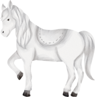 cheval blanc aquarelle png