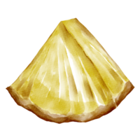 acquerello ananas elemento png