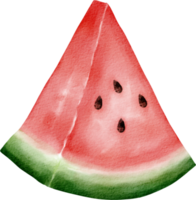 vattenfärg vattenmelon frukt png