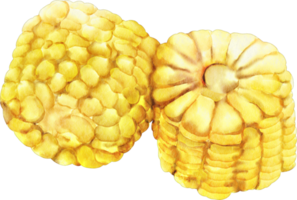 watercolor sweet corn png