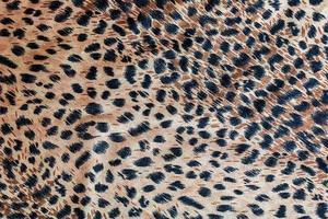 Background with leopard texture, close up. Leopard dyed fabric. photo