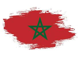 New hand paint brush Morocco flag vector