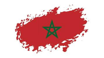 Free brush stroke Morocco flag vector image