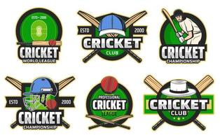 Cricket sport items and player vector icons