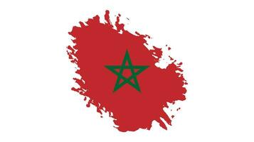 Free brush stroke Morocco flag vector image