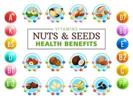 Vitamin complex in healthy nuts, grains and seed vector