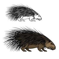 Porcupine animal mascot. Wild forest hedgehog icon vector