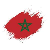 Abstract brush stroke Morocco flag vector image