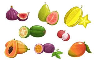 Tropical fruits, vector isolated cartoon icons set