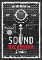 Music instruments and sound recording studio vector