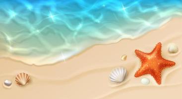 Sea cost with ocean wave and shells on the sand vector
