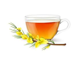 Realistic rooibos tea cup and flower, 3d glass vector