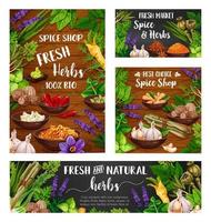 especias y hierbas. condimentos de alimentos vegetales vector