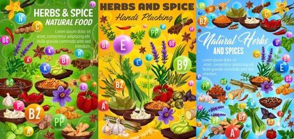 Herbs and spices, food seasonings vector