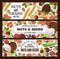 GMO free natural seeds, nuts and cereal grains vector