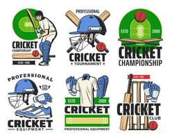 Cricket player with sport ball, bat, wicket icons vector