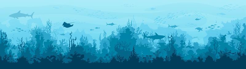 Underwater landscape with sea plants and animals