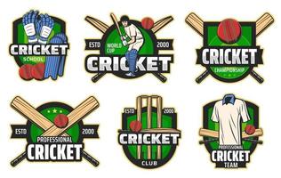 iconos de jugador de cricket ball, bat, wicket y bateador vector