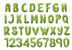 fuente, letras y números de frutas tropicales de kiwi vector