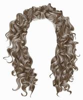 long curly hairs  light blond  colors .  beauty fashion style . wig . vector
