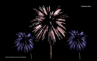 Fireworks display on the background of the night sky.  fireworks vector