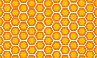 honeycomb pattern background vector