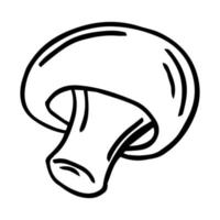 Hand drawn sketch of champignons. Vector illustration of mushrooms champignons on white background