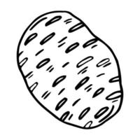 Potato tuber. Vector. Outline drawing of a vegetable on a white background. Sketch. Drawing marker on paper. Isolated object. vector