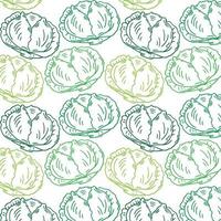 Vector seamless pattern with hand drawn cabbage on white background.