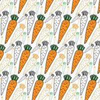 Seamless pattern with hand drawn carrots isolated on white background. vector