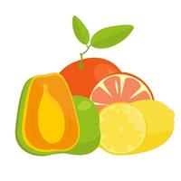 Bodegón de naranja, limón y papaya. colores de frutas jugosas brillantes en vector aislado sobre fondo blanco