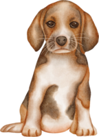 clipart de cachorro em aquarela png