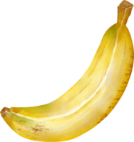 vattenfärg banan frukt png