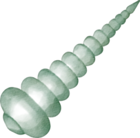 acuarela animal marino png