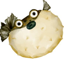 watercolor puffer fish png