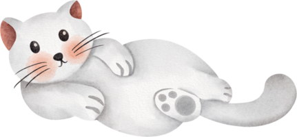 clipart de elemento de gato em aquarela png