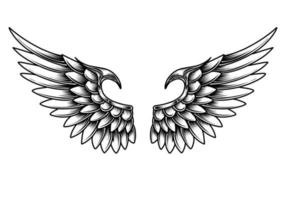 Free vector angel wings line art and outline