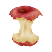 aquarela maçã mordida maçã png