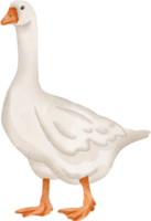 waterverf gans klem kunst png