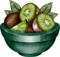 waterverf kiwi fruit element png