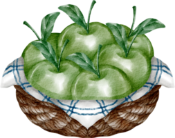 watercolor green apple png