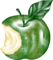 vattenfärg grön äpple png