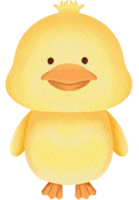 imágenes prediseñadas de pato acuarela png