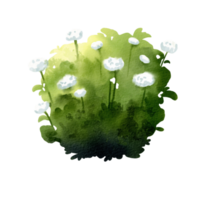 watercolor bush green png