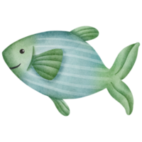 Aquarell süßer Fisch png