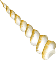 acquerello mollusco mare animale png